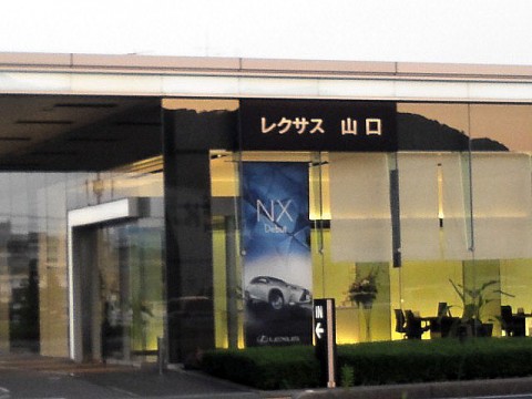 56a9vycnp2izp77pshvk_480_480-04158933.jpg