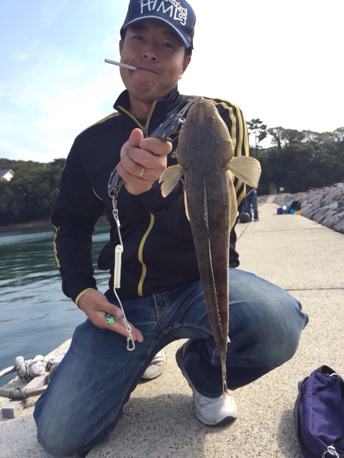 佐久 島 釣り