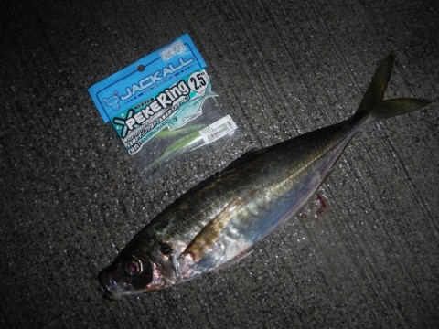56pcszjrmer9aty9ghb6_480_480-140f78c4.jpg