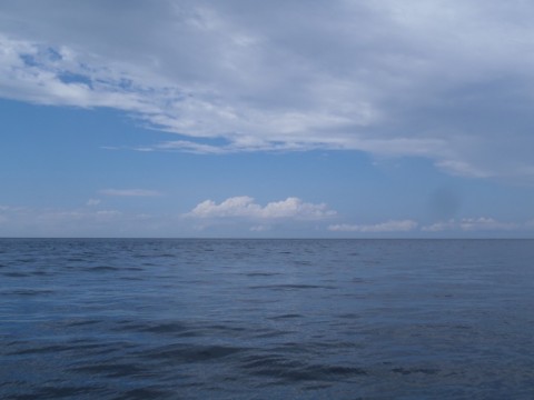 56us5bsdjg4guchryknw_480_480-2d67671f.jpg