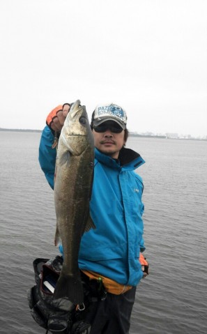 572gnyvj99smv9seawge_570_920-cc377c41.jpg