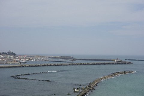 573ekvdakkfducmkfpft_480_480-e1c435f6.jpg
