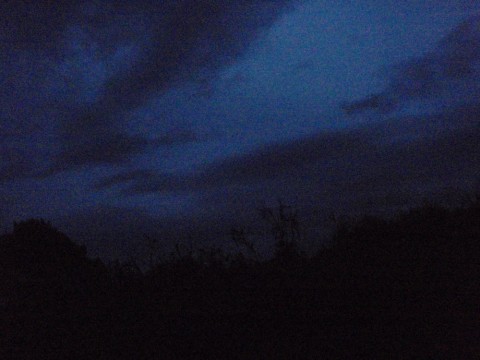 5764wopkzep9om6gpyky_480_480-5af6d01d.jpg