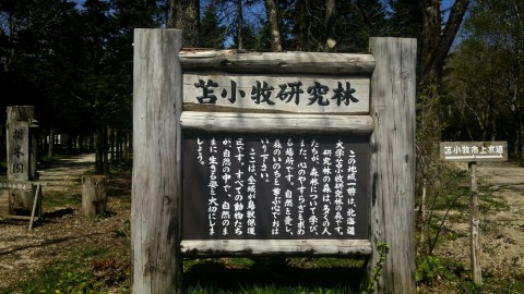 5776jwxkmkf96xihy8yp_920_518-2a0d9059.jpg
