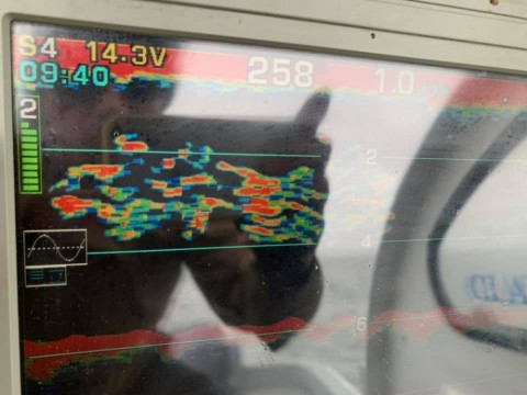 57foasbvse5kt4garihu_480_480-f500cc37.jpg
