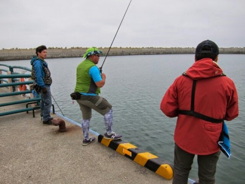 57hovi2fg8awbaai49vt_640_480-33e5ab4e.jpg