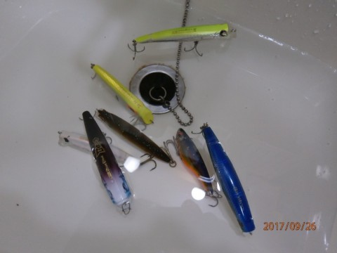 57jmddyfwtvojcxx2yp3_480_480-d3344792.jpg