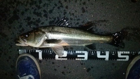 57jog3iphuwmfoss2ui3_920_518-9a9417c6.jpg