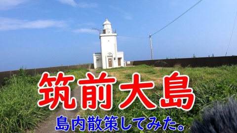 57jp5ivstzjm7zro5pzb_480_480-fc5b950d.jpg