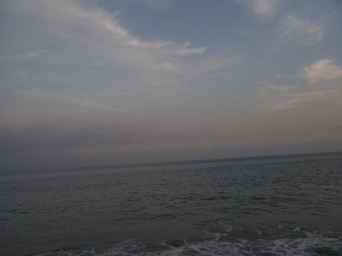 57u9tkx5fyaojodac62x_480_480-e7cd4f4f.jpg