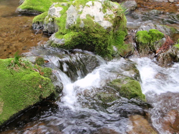 57wkfecxpxipvkgr3ta3-770904ba.jpg