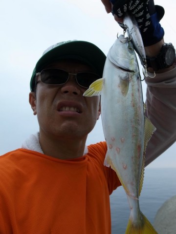 5829kpumsu64px43yfvv_480_480-a2f56cb7.jpg