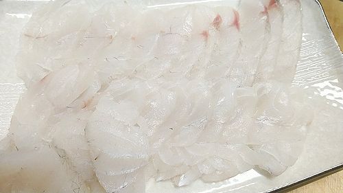 No Fishing No Life マゴチの熟成
