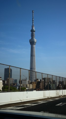 58adrzkodsmzci3ujrv8_480_480-9073189a.jpg