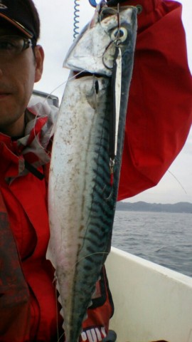 58axtik82m8kadnzu492_518_920-97411c3a.jpg