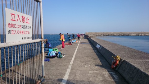 58f88ixyu797hj8e9rox_480_480-2ec7c767.jpg