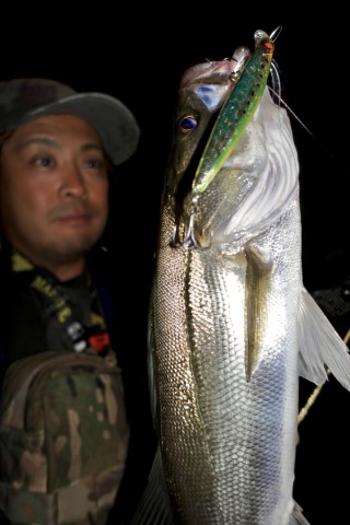 58jfy976bnirrzu35ckd_480_480-e6fdca13.jpg
