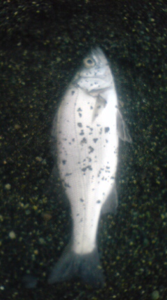 58m2o6bf6jj73b7sb98w-683e85c6.jpg