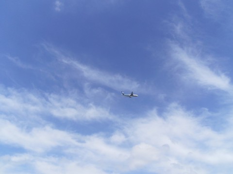 58w3kcni5b38tp425j5s_480_480-0c7979af.jpg
