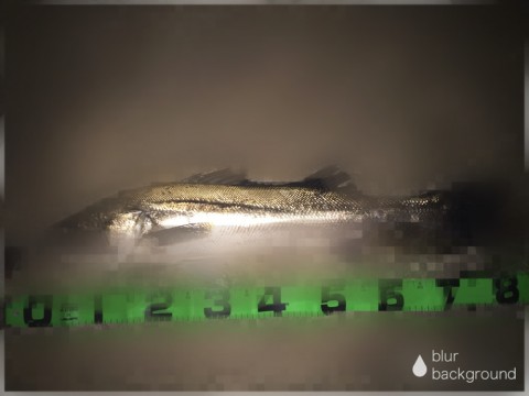 58xgiybrcokif7t865yj_920_690-86e98c93.jpg