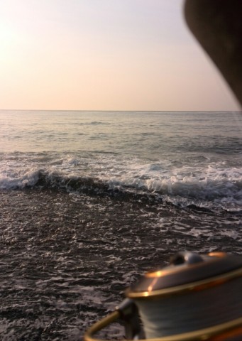 58zdm7yjad28adh5gj9n_653_920-ae61e9ba.jpg
