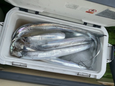 金剛激あおりいか390 金剛激あおりいか390 - メルカリ
