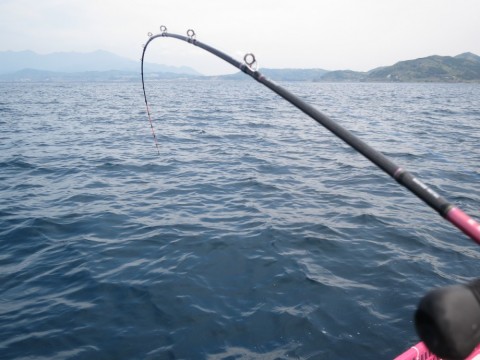 59f74f65icxz3xeidwpc_480_480-e9769309.jpg