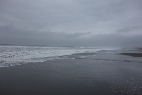 59hnahae6up8o735d348_480_480-6bc7a93a.jpg