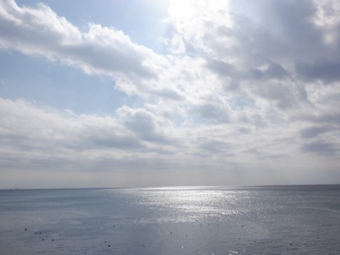 59igkj93pgd9t4hnu5ow_480_480-e29f47bc.jpg