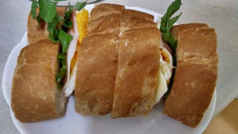 5acsm5ywujxnx7xckxde_480_480-ccf79d8f.jpg