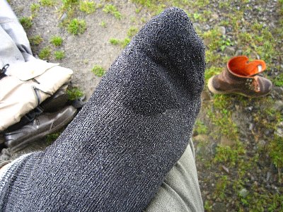 5adivke8g276aeufbax3-4eb54926.jpg