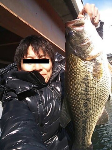 5am9pw5tpegz3poc8s3c_480_480-cfa5ddc1.jpg
