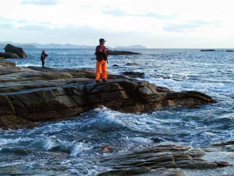 5b4nc87a5efbmc645rc2_480_480-b4916147.jpg
