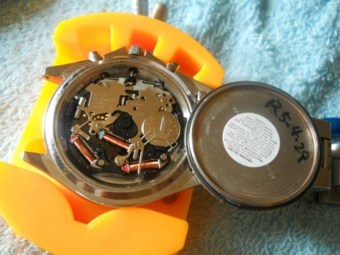 5ba799itbw6oto3sam66_480_480-0bd088aa.jpg