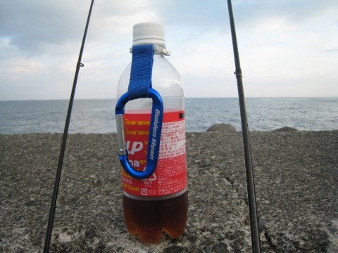 5bbo5fxnsvnfabesmkyk_480_480-c6c2907e.jpg