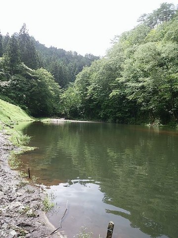 5bh9ii4pr76dt4mnhpim_480_480-73628aa6.jpg