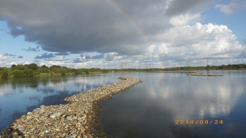 5borsu5u45xfyiyeex6k_480_480-cde44188.jpg