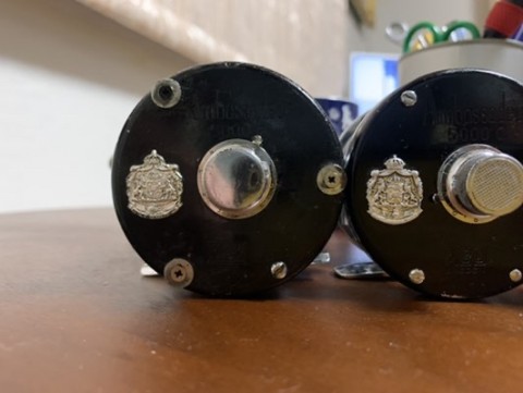 5bv48jizcz7xmg2fca6d_480_361-0a6bdf22.jpg
