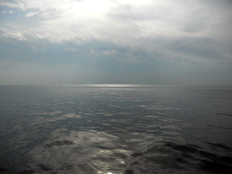 5bwsz4odksr5du3bv4h6-8d977e3b.jpg