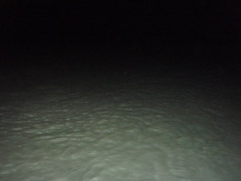 5cfoz7smo8ztyx6mu276_480_480-5c938a49.jpg