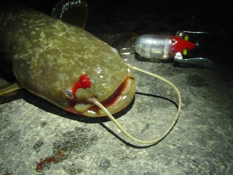 5csdbbkfkkmssgwurriz_920_690-eac27285.jpg