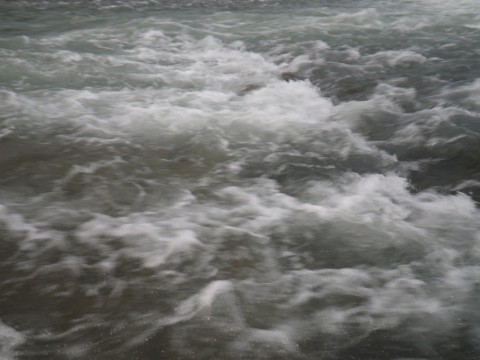 5cxy679o4igjgrf9nhcb_480_480-5857414f.jpg