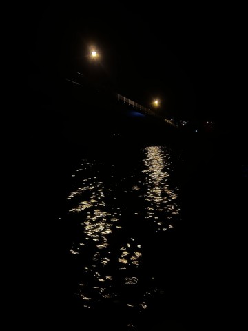 5d52wxeus369xdgw7jjp_480_480-f864e646.jpg