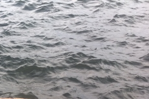 5dkgjwsrp3ujuazutcxv-5260a895.jpg