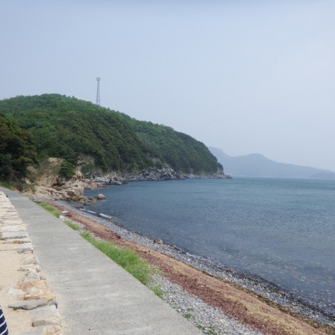 5dwrg5wgg65z6bksjcva_480_480-62858006.jpg