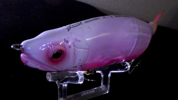 ーFishing Archives Diaryー】 ベイトタックルじゃなくてもできる