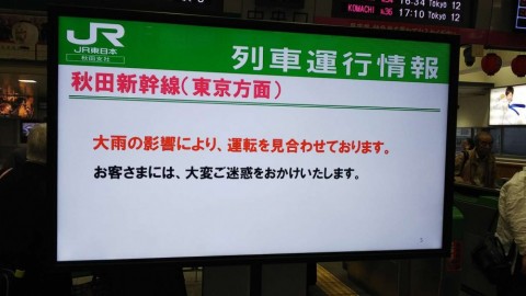 5edo85y9hu6txpwpe28d_480_480-98c86d45.jpg