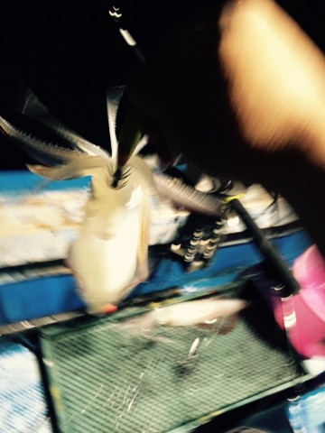 5emnd9m769yvsffj9jp6_690_920-e2b00112.jpg