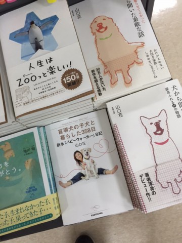 5epkw45vdytybsryaoi6_480_480-9d6095da.jpg