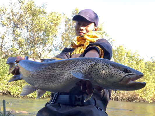Fishingwars Fimo 魚鬼 北海道イトウ遠征 Fishingwars Fimo 魚鬼 北海道イトウ遠征